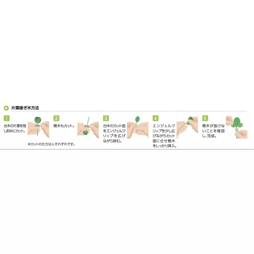Best takigen-angel-clip-7579559 TAKIGEN Angel Clip Ethylene Vinyl Acetate, CP-646-1 Φ2.6 (Pack of 1000 Pcs)