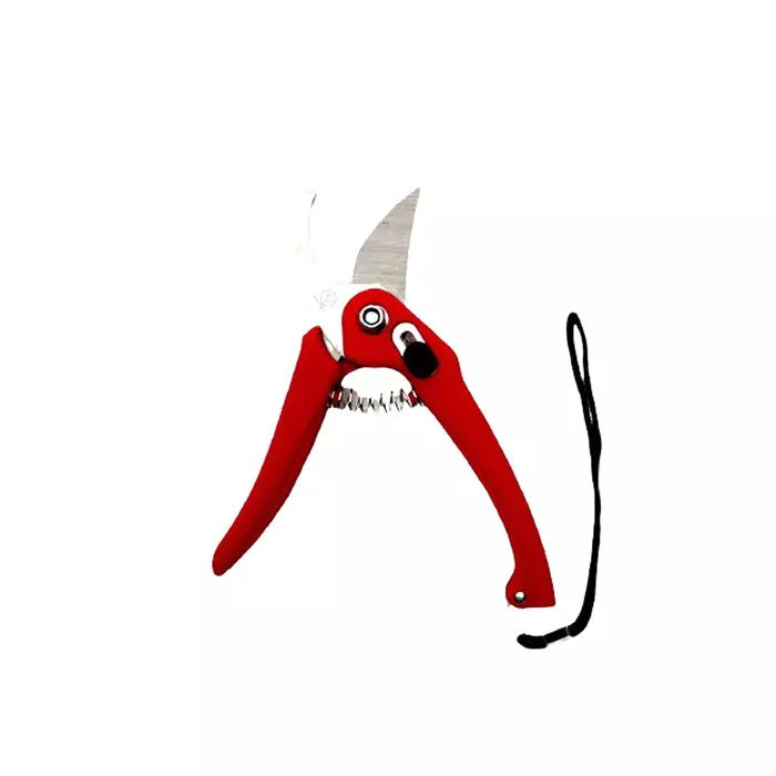 Buy sky-blue-sbprunermdx0189-098-inch-iron-bypass-pruner-pack-of-2 Sky Blue SBPRUNERMDX0189 24.90 mm(0.98 Inch) Iron Bypass Pruner (Pack of 2)