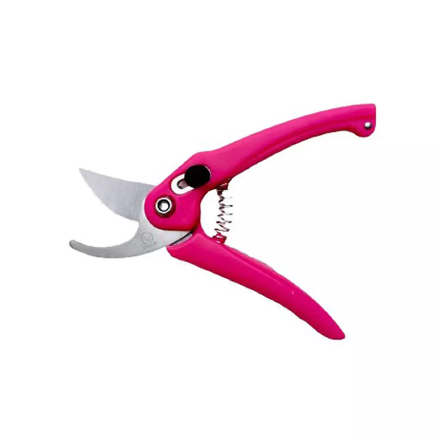 Best sky-blue-sbprunermdx0189-098-inch-iron-bypass-pruner-pack-of-2 Sky Blue SBPRUNERMDX0189 24.90 mm(0.98 Inch) Iron Bypass Pruner (Pack of 2)