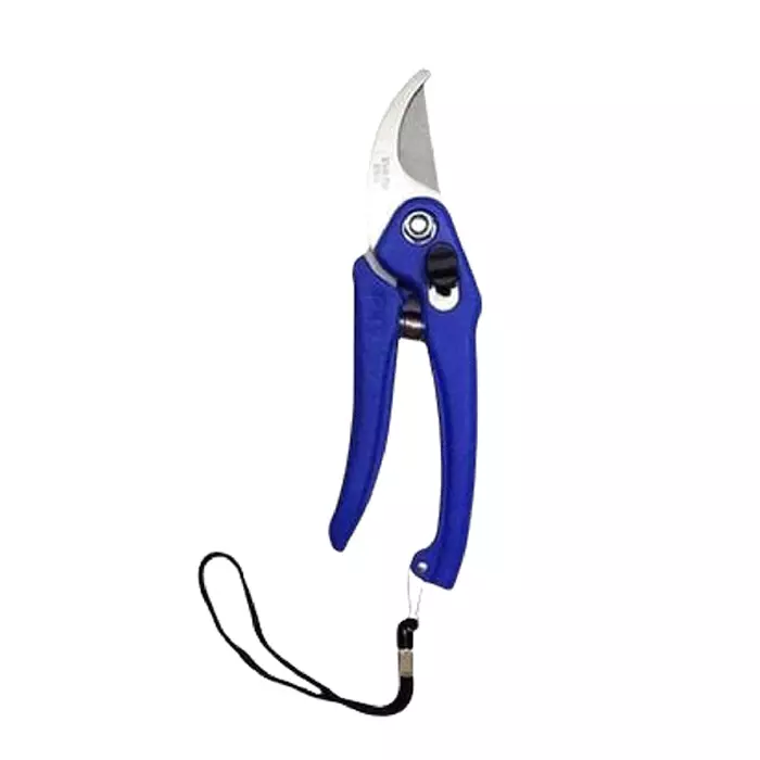 Best sky-blue-sk_bl_pruner0036-098-inch-iron-bypass-pruner-pack-of-2 Sky Blue Sk_Bl_Pruner0036 24.90 mm(0.98 Inch) Iron Bypass Pruner (Pack of 2)