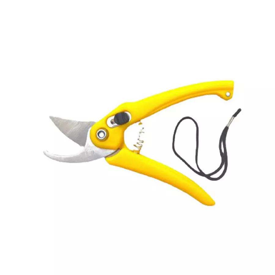Buy sky-blue-sbprunermdx0185-098-inch-iron-bypass-pruner-pack-of-2 Sky Blue SBPRUNERMDX0185 24.90 mm(0.98 Inch) Iron Bypass Pruner (Pack of 2)