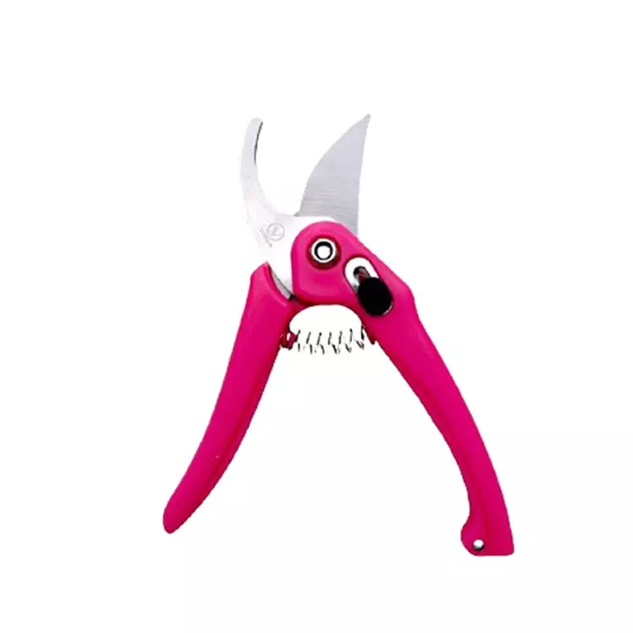 Best sky-blue-sbprunermdx0185-098-inch-iron-bypass-pruner-pack-of-2 Sky Blue SBPRUNERMDX0185 24.90 mm(0.98 Inch) Iron Bypass Pruner (Pack of 2)