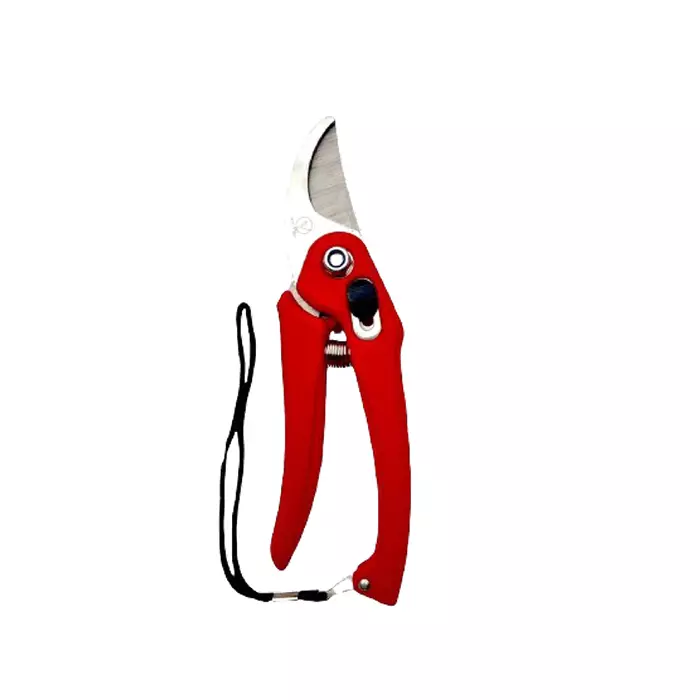 Buy sky-blue-sbprunermdx0186-098-inch-iron-bypass-pruner-pack-of-2 Sky Blue SBPRUNERMDX0186 24.90 mm(0.98 Inch) Iron Bypass Pruner (Pack of 2)