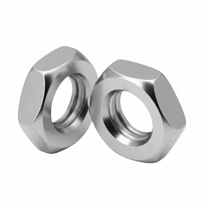 Buy apl-lock-nut-stainless-steel-304-m-24-size-pack-of-500 APL Lock Nut Stainless Steel 304 M 24 Size (Pack of 500)