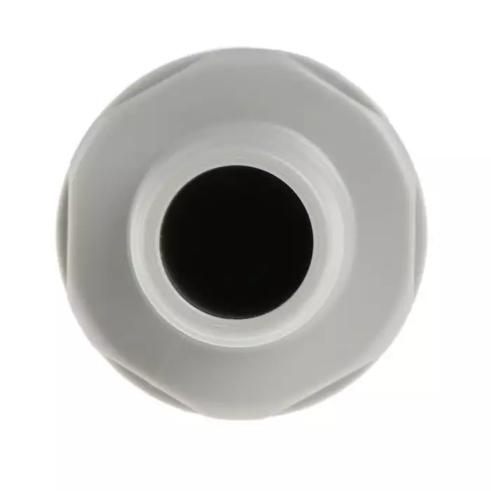 Shop colder-products-hose-connector-straight-hose-tail-coupling-12in-id-42-bar-hfcd22812 Colder Products Hose Connector Straight Hose Tail Coupling 1/2 inch Inner Dia 4.2 bar, HFCD22812