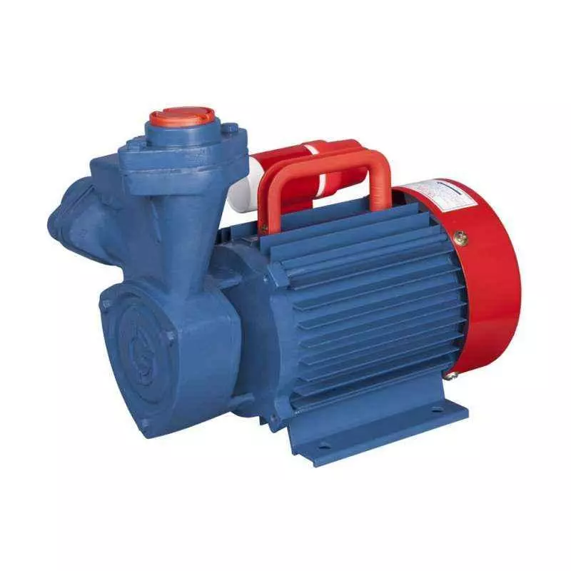 Buy Crompton Mini Star 1 Monoblock Pump 0.75 kW from Industrybuying.com