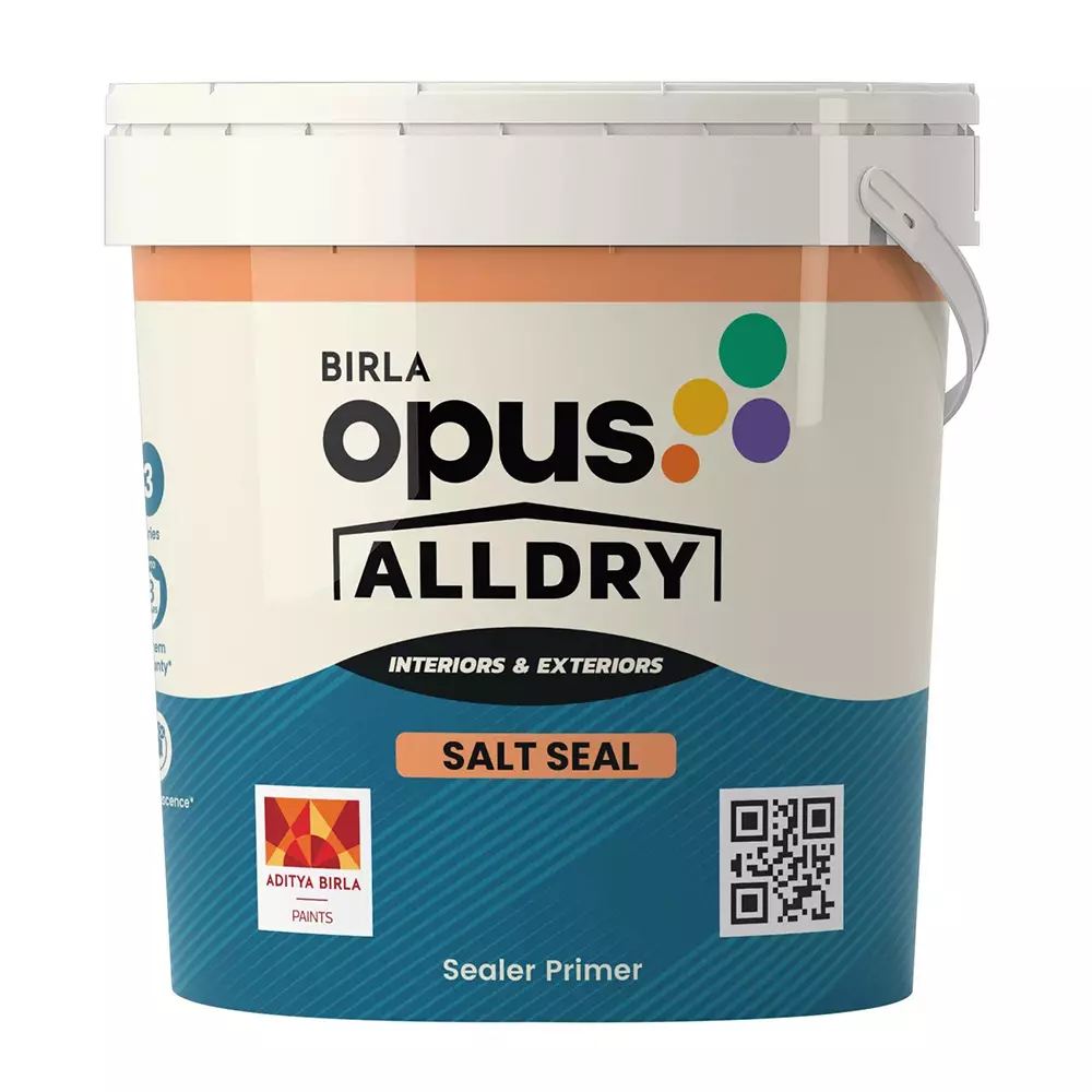 Birla Opus AllDry Salt Seal 20 L Waterproofing Paint For Exterior Walls, 936001 (Pack of 20 L)