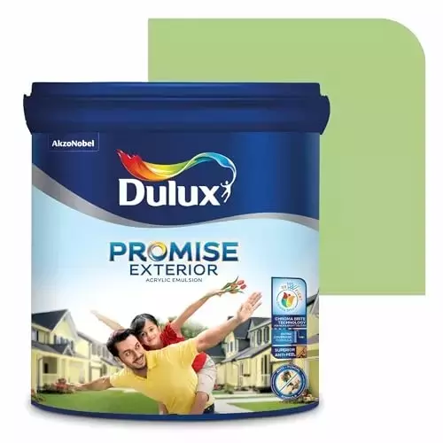 Dulux Promise Exterior Emulsion Paint Margarita 4 L