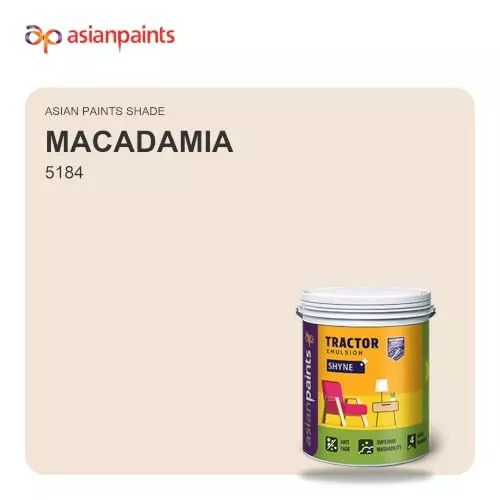 asian-paints-tractor-emulsion-shyne-interior-wall-paint-20-l-capacity-smooth-finish-macadamia-color-5184