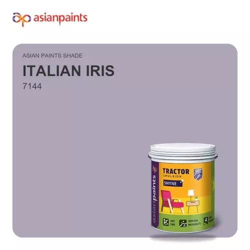 asian-paints-tractor-emulsion-shyne-interior-wall-paint-smooth-finish-10-l-volume-italian-iris-color-7144