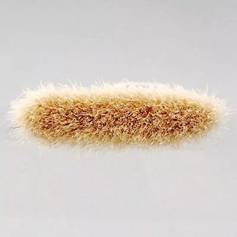 monotaro-brush-for-hobby-use-28-mm-length-hobby-white-15