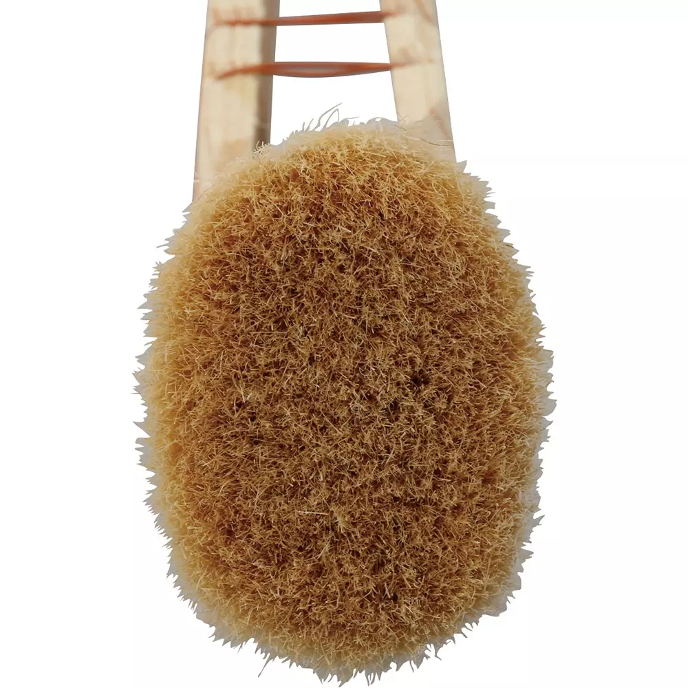 MonotaRO Brush for Synthetic Resin Goat hair White 17 mm Thickness, 0612-3-15
