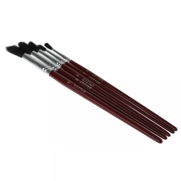 Cottam Goat Hair Paint Brush Set with Round Bristles, 3152126 (Pack of 5)