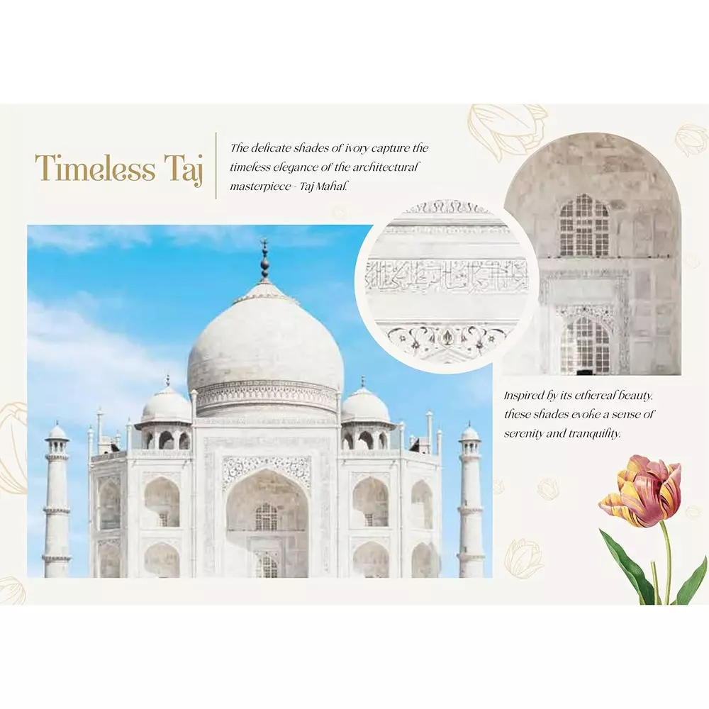 asian-paints-tru-care-acrylic-wall-putty-for-smooth-walls-matte-finish-5-kg-capacity-white-color-ap-1354-wht1-5kg