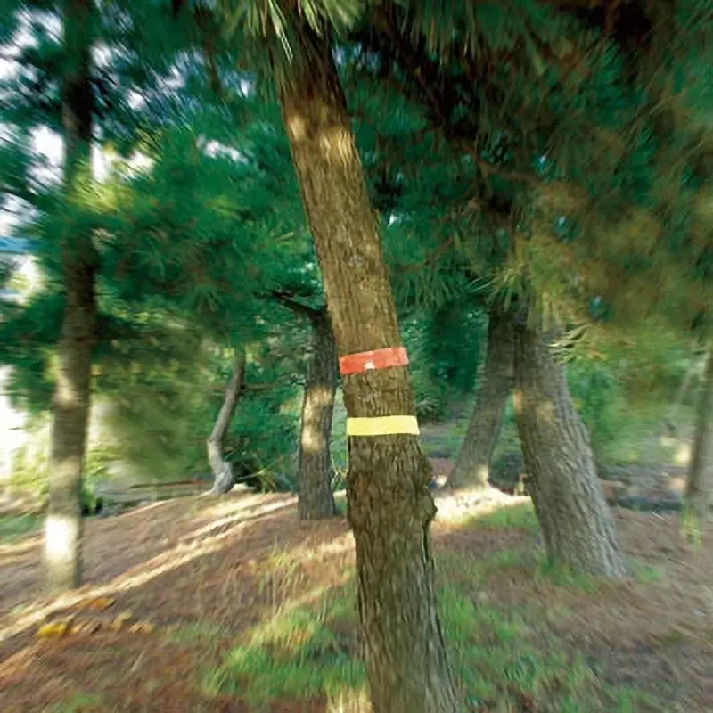 shinwa-rules-marking-tape-73798