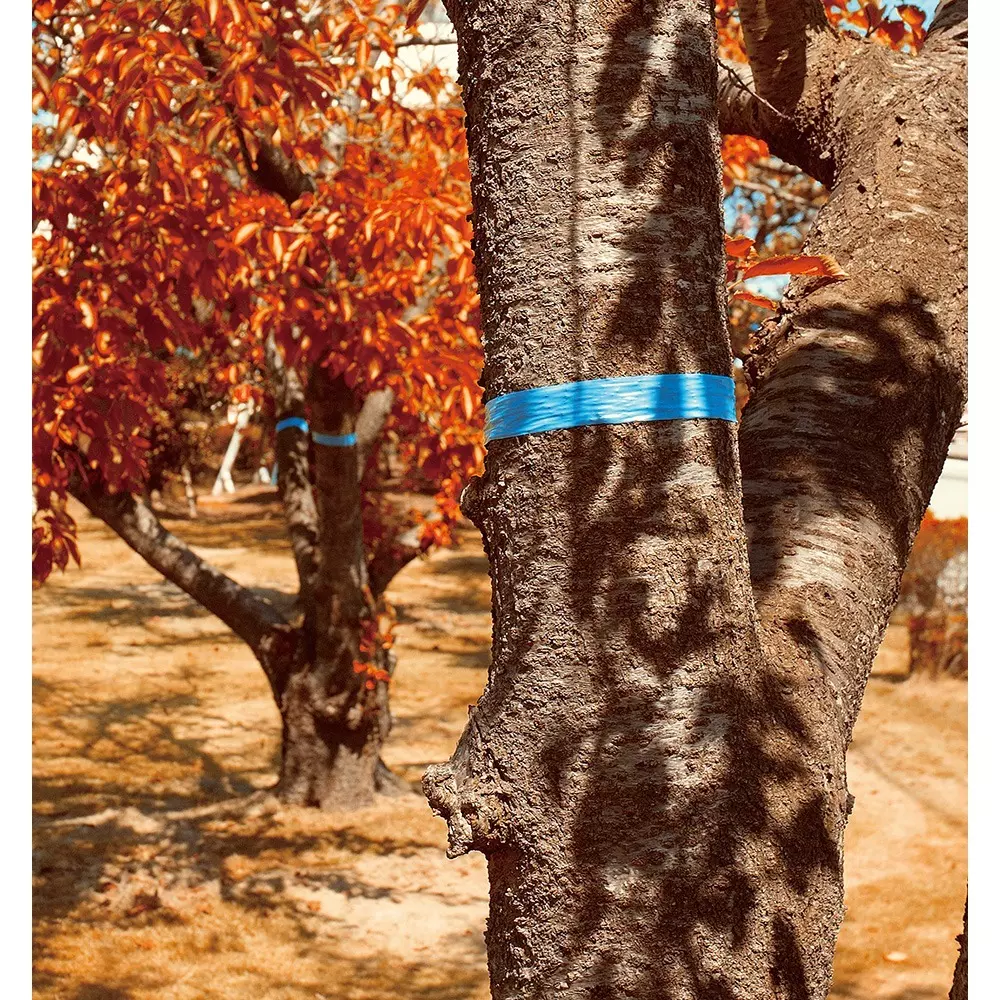 shinwa-rules-marking-tape-74125