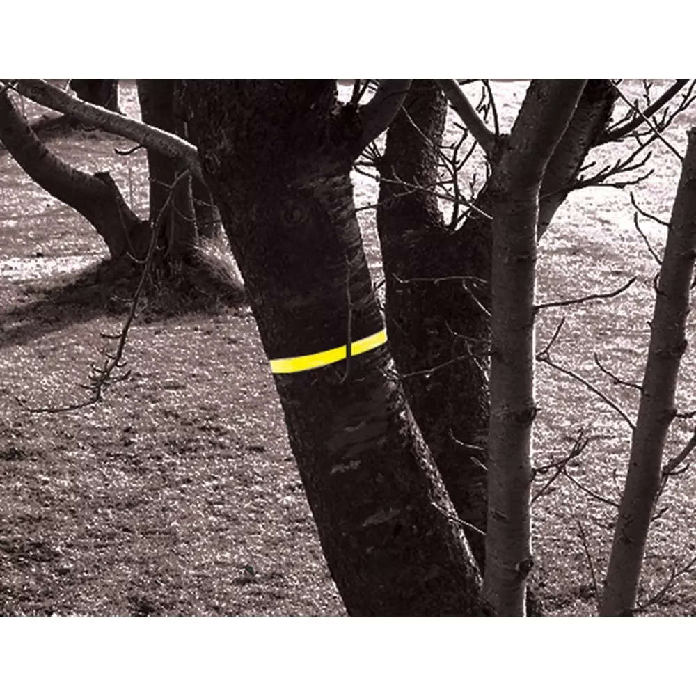 shinwa-rules-marking-tape-74162