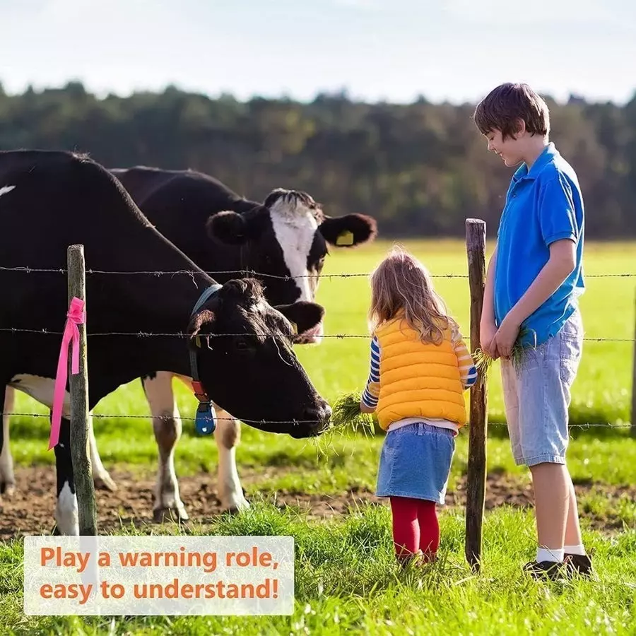 Singhal Flagging Tape 25 mmx90 m Blue (Pack of 10 Rolls)