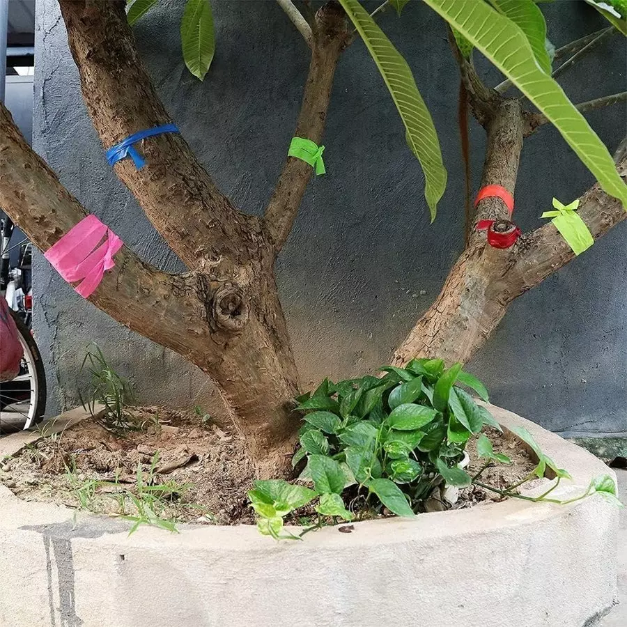 Singhal Flagging Tape 25 mmx45 m Lime (Pack of 6 Rolls)