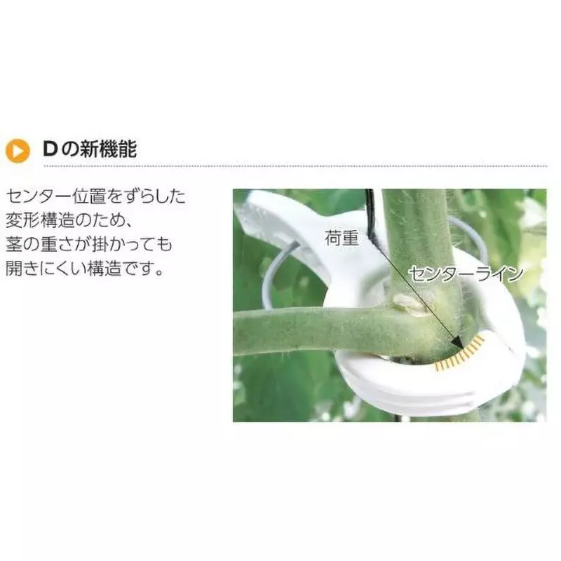 TAKIGEN Kuki Rock, CP-609-D-1-White (Set of 100 Pcs)