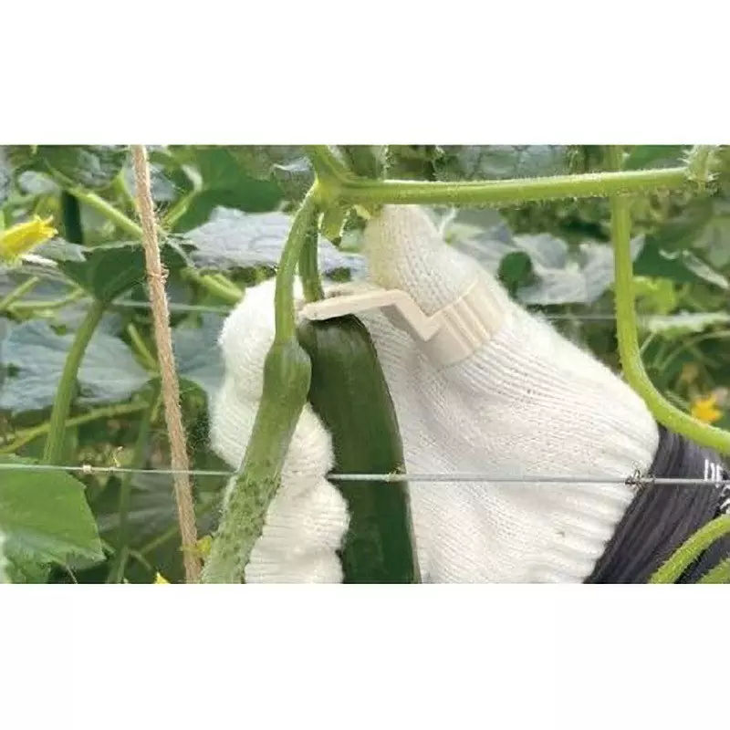 TAKIGEN Replaceable Blade Cucumber Cutter with 21 Replacement Blades, CP-692-2 (Pack of 3 Pcs)