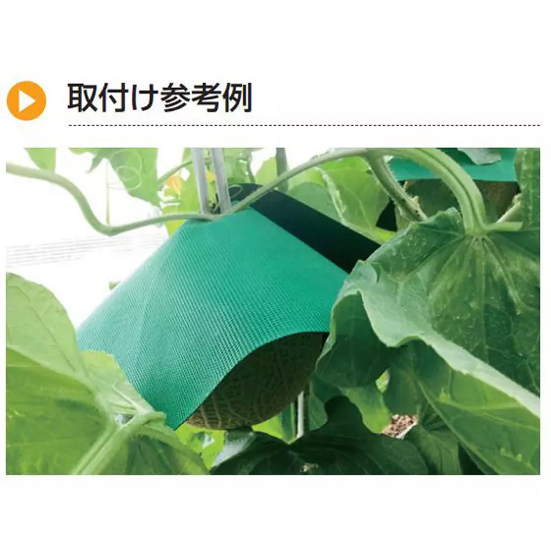 TAKIGEN Melon Sun Cut Non-Woven Fabric/Polypropylene Φ330 mm, CP-676 (Pack of 100 Pcs)