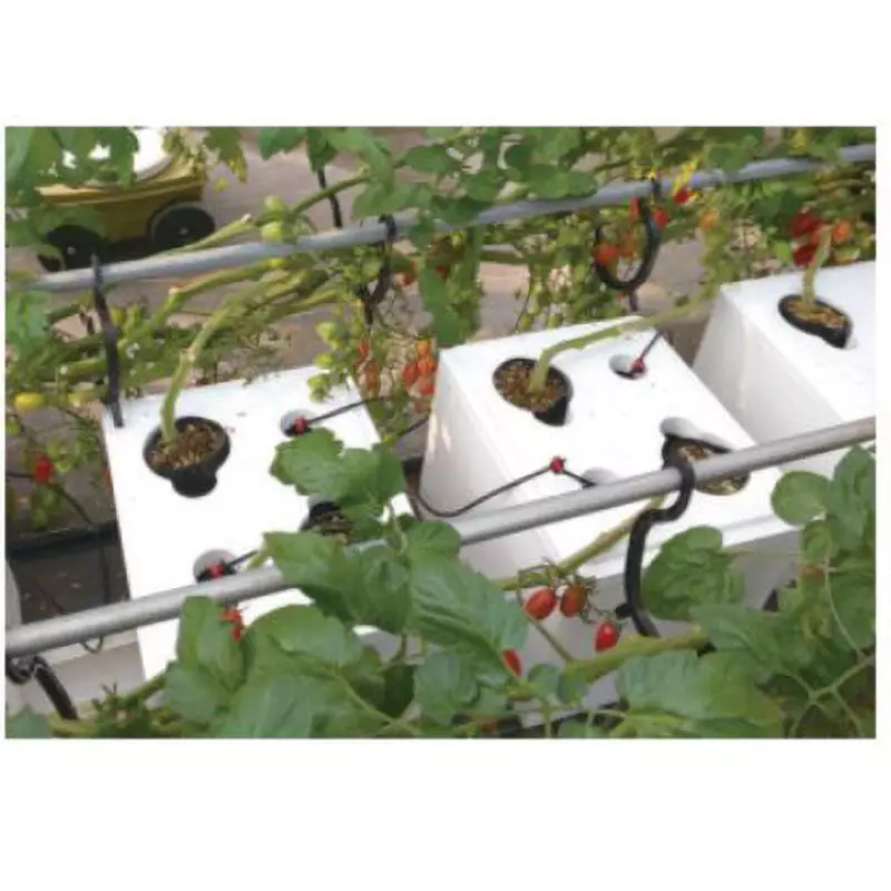 TAKIGEN Stem Rack Polypropylene Black for Horizontal Pipes, CP-642-2 (Pack of 500 Pcs)