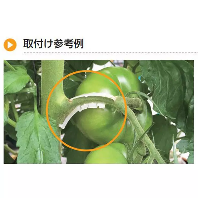 TAKIGEN Branch Bauer Polypropylene White for Attraction Work, CP-655 (Pack of 1000 Pcs)