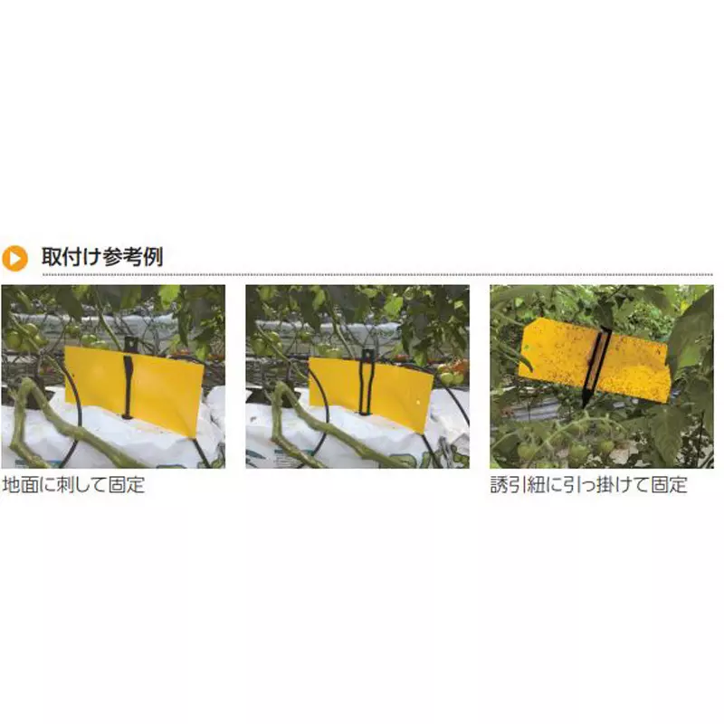 TAKIGEN Insect Trap Sheet Clip Polypropylene Black, CP-678 (Pack of 100 Pcs)