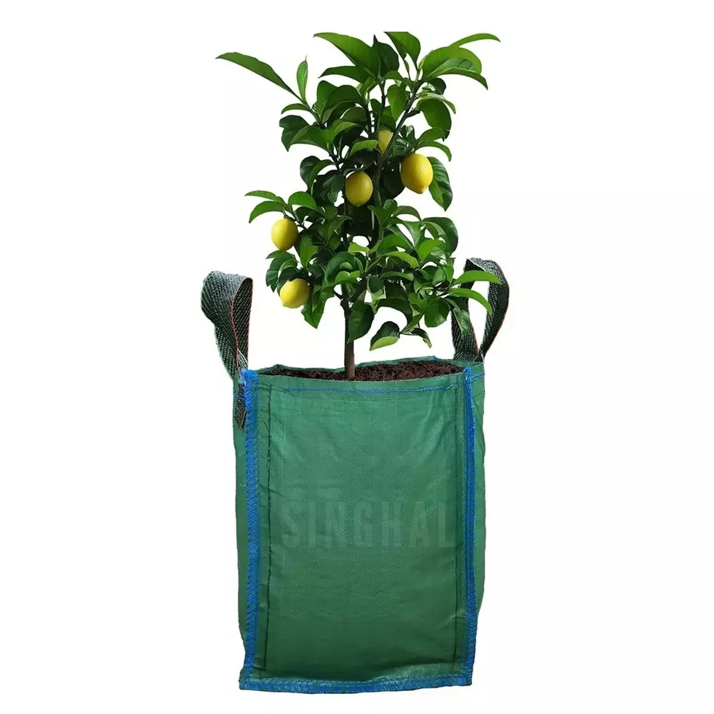Singhal Plant Grow Bags with Handle 18x18 inch Green HDPE Square (Pack of 20 Pcs)