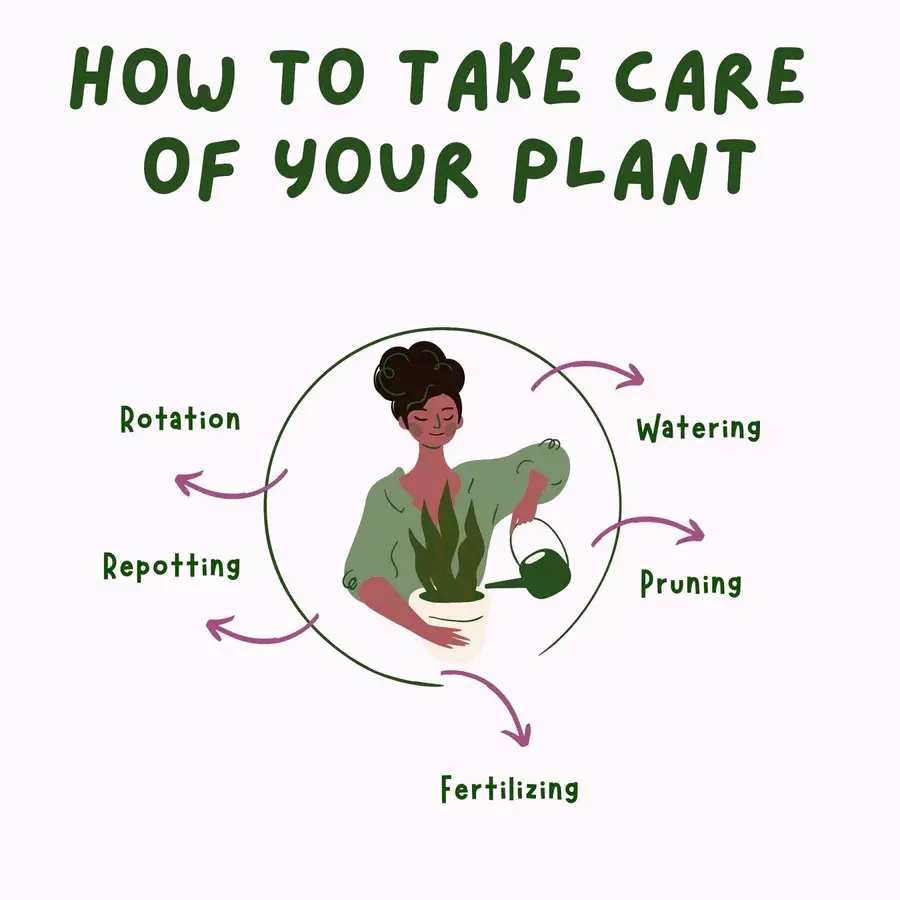 singhal-uv-protected-grow-bags-hdpe-round-shape-260-gsm-12x15-inch-size-green-gb260gsm_12x15_p6-pack-of-6-pcs