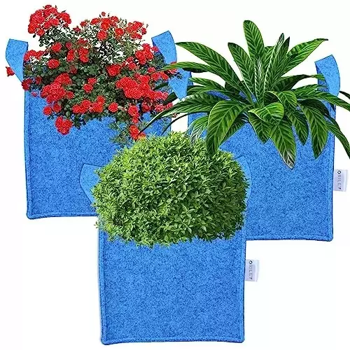 ORILEY Plant Growing Bag Size 10x10x10 inch 300 GSM Square Blue, OR-SQGB-76 (Pack of 2)