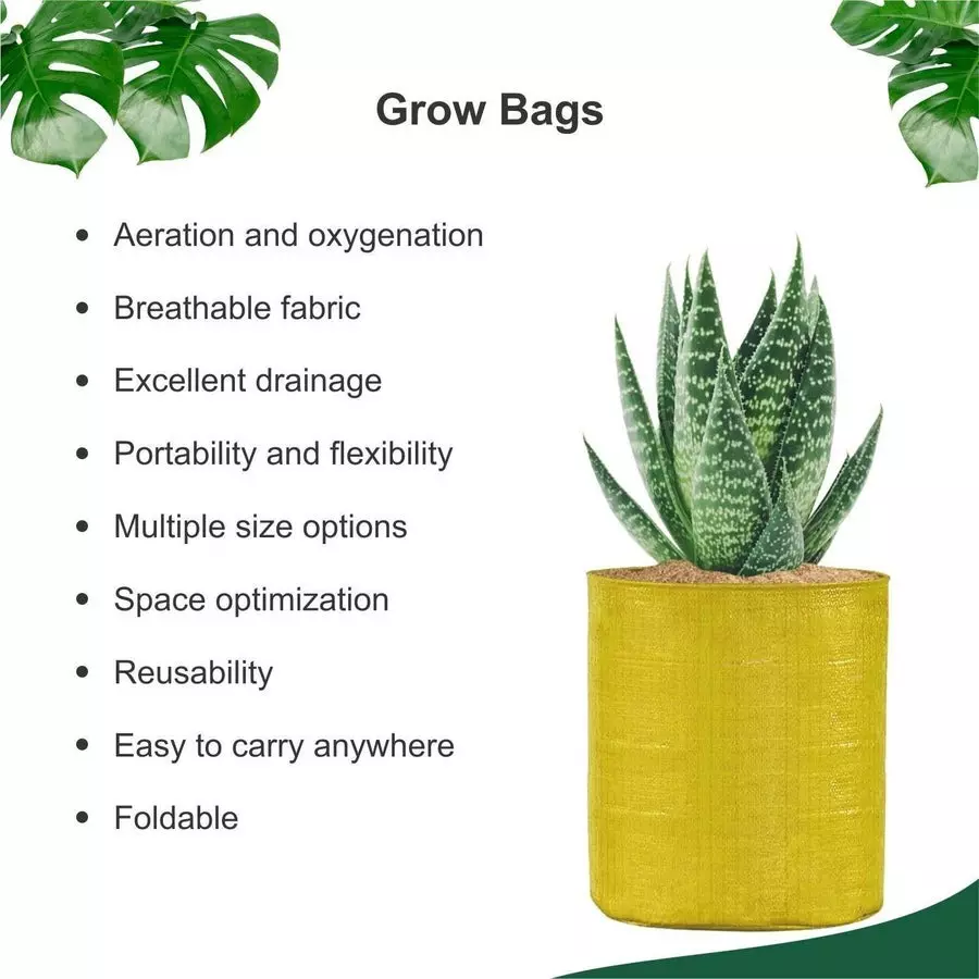 singhal-plant-grow-bags-yellow-hdpe-round-uv-resistant-9x12-inch