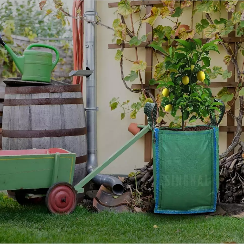 Singhal Plant Grow Bags with Handle 18x24 inch Green HDPE Square (Pack of 100 Pcs)