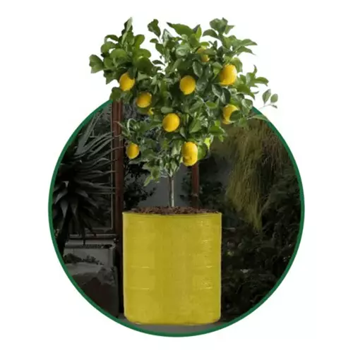 Singhal Plant Grow Bags Yellow HDPE Round UV Resistant 24x24 inch (Pack of 20 Pcs)