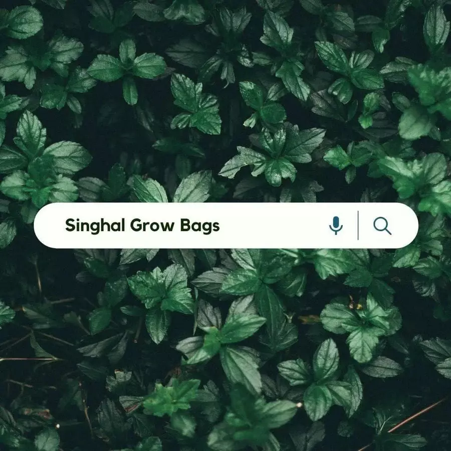 singhal-uv-protected-grow-bags-hdpe-round-shape-15x15-inch-size-green-gb_15x15_p30-pack-of-30-pcs