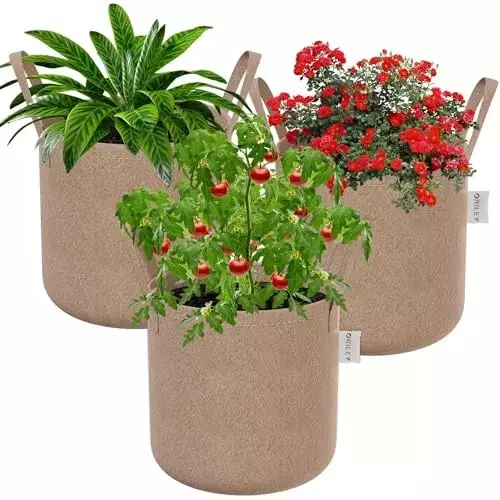 ORILEY Plant Growing Bag with Sturdy Handle Size 24x24 inch 500 GSM Round Beige, OR-RGB-272 (Pack of 3)