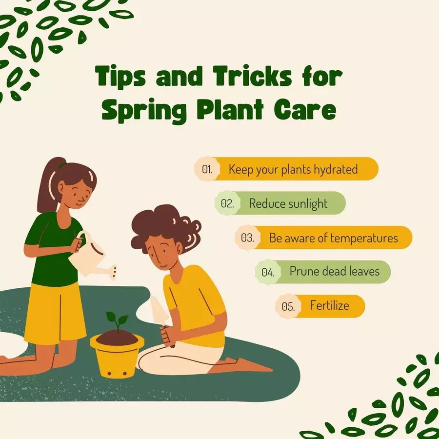 singhal-uv-protected-grow-bags-hdpe-round-shape-260-gsm-12x18-inch-size-green-gb260gsm_12x18_p1