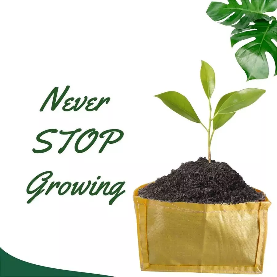 Singhal Plant Grow Bags 18x12x12 inch Yellow HDPE Rectangular (Pack of 100 Pcs)