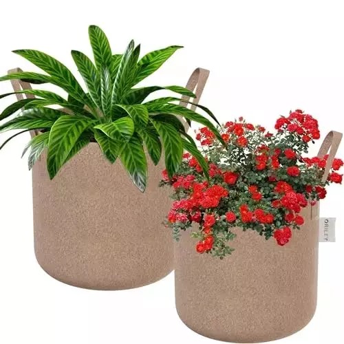 ORILEY Plant Growing Bag with Sturdy Handle Size 10x10 inch 400 GSM Round Beige, OR-RGB-164 (Pack of 2)