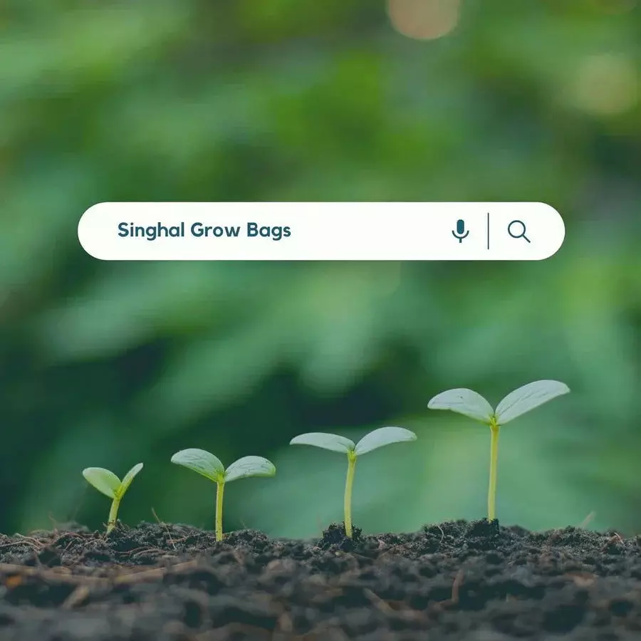 singhal-uv-protected-grow-bags-hdpe-round-shape-260-gsm-12x15-inch-size-green-gb260gsm_12x15_p40-pack-of-40-pcs