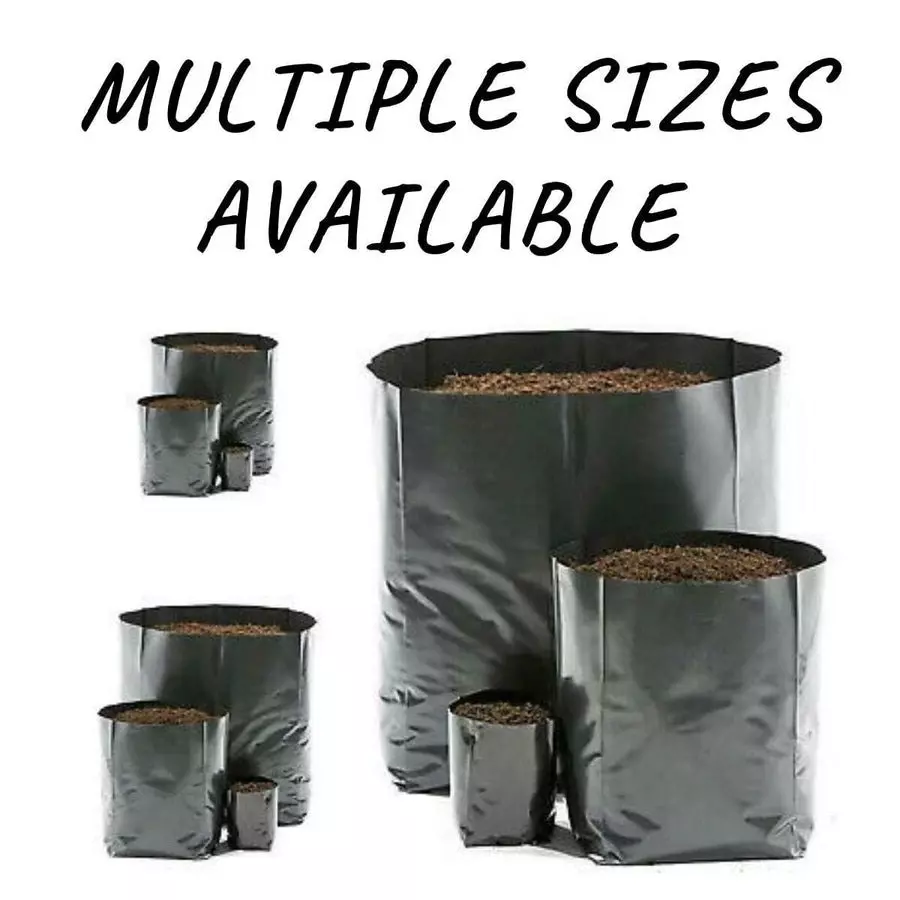 singhal-plant-grow-bags-9x10-inch-black-hdpe-pack-of-100-pcs