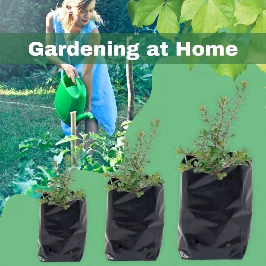 singhal-plant-grow-bags-9x10-inch-black-hdpe-pack-of-100-pcs