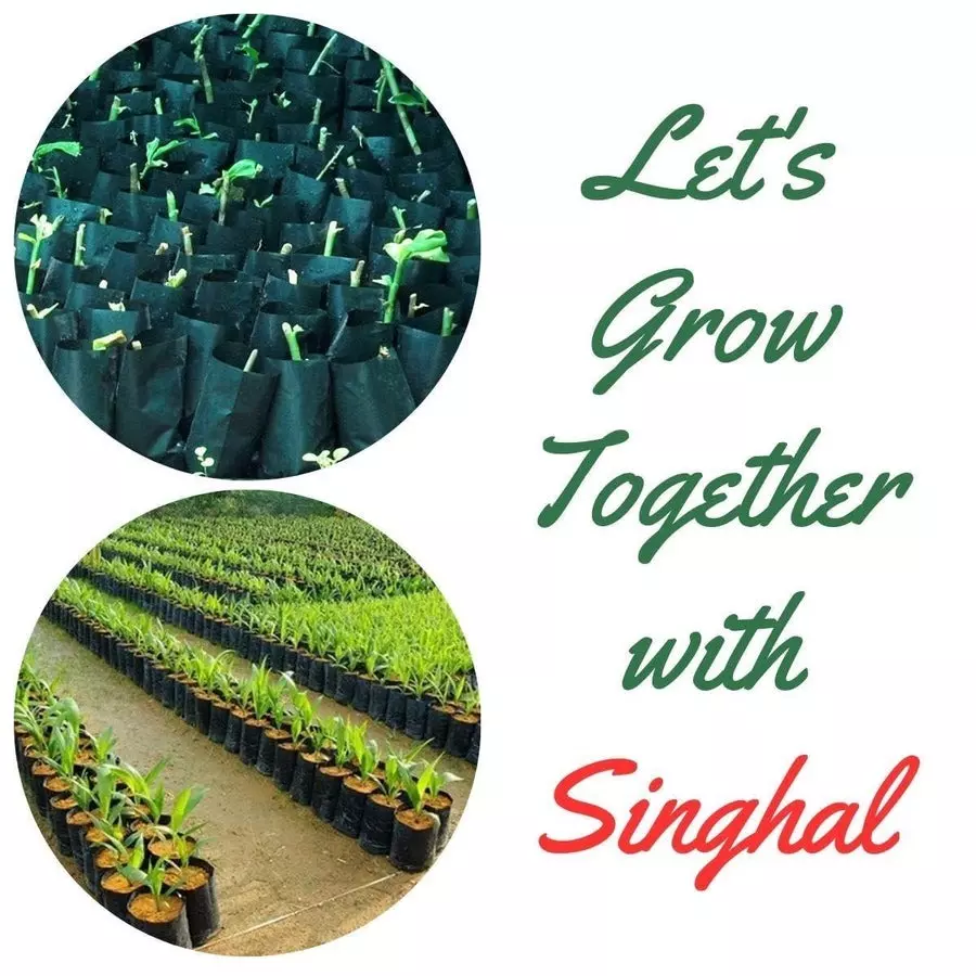 singhal-plant-grow-bags-9x10-inch-black-hdpe-pack-of-100-pcs