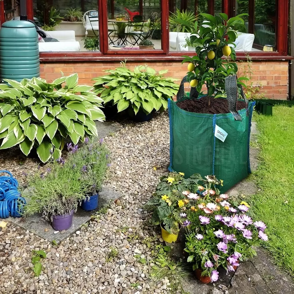 singhal-plant-grow-bags-with-handle-18x18-inch-green-hdpe-square-pack-of-5-pcs