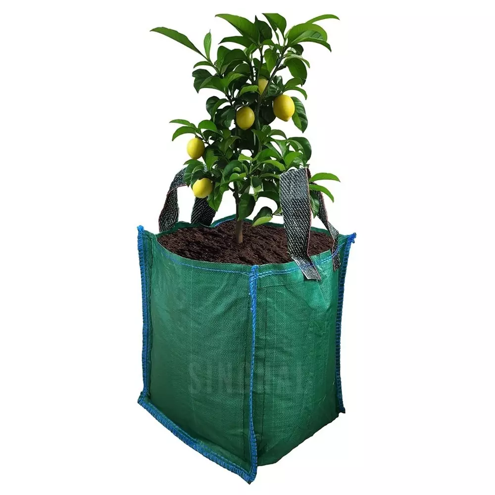 Singhal Plant Grow Bags with Handle 18x24 inch Green HDPE Square (Pack of 1 Pcs)