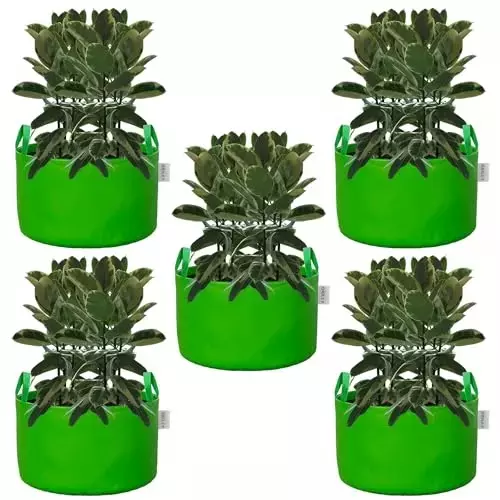 ORILEY Plant Growing Bag Size 24x24 inch 250 GSM Round with Handle Green, OR-HDPGB-119 (Pack of 5)