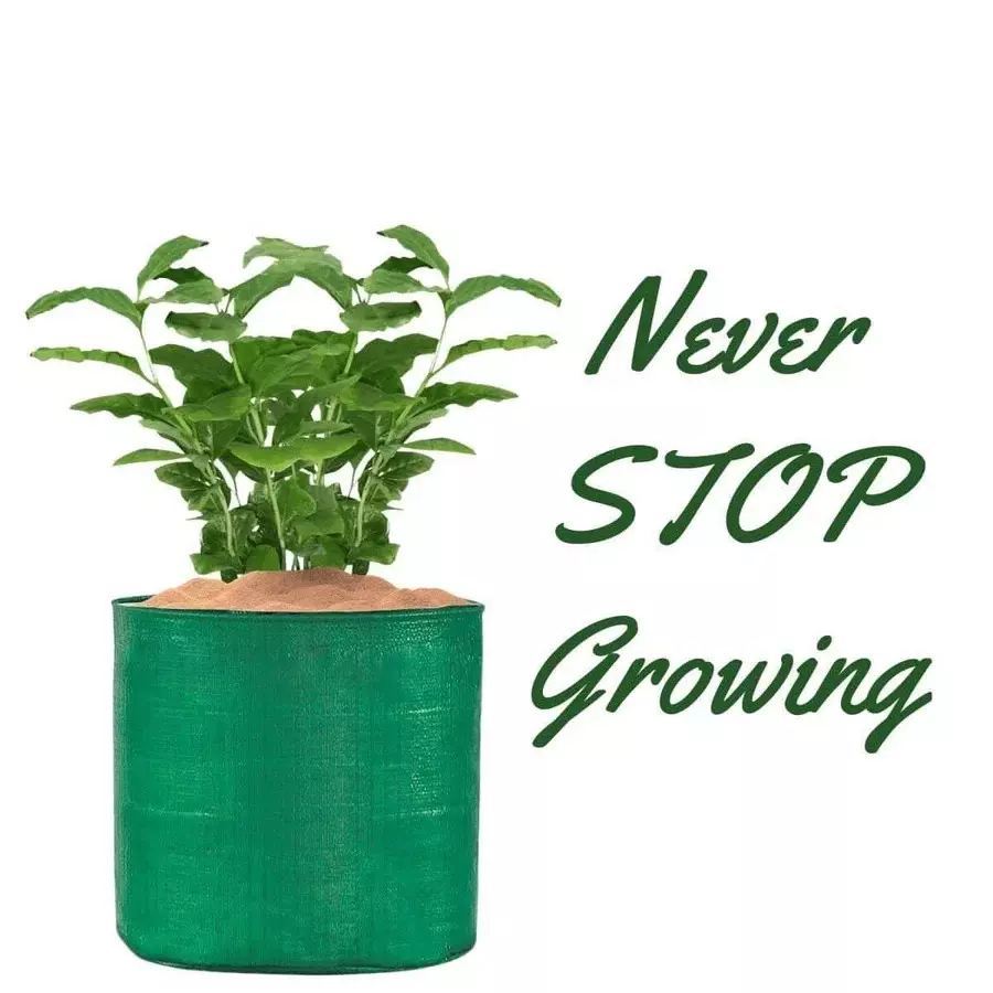 singhal-uv-protected-grow-bags-hdpe-round-shape-15x15-inch-size-green-gb_15x15_p100-pack-of-100-pcs