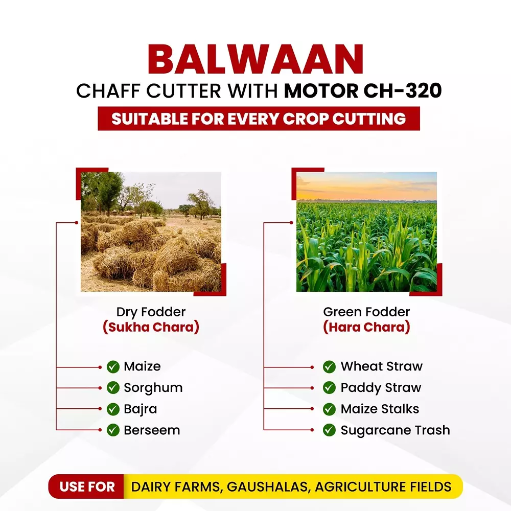 balwaan-chaff-cutter-black-red-for-farming-gardening-ch320