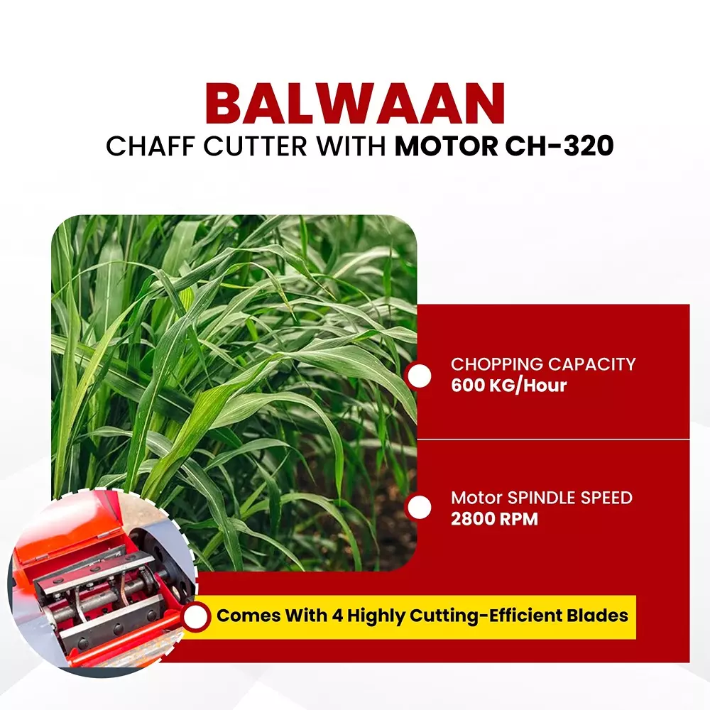 balwaan-chaff-cutter-black-red-for-farming-gardening-ch320